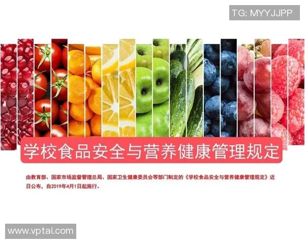 足球球星日常生活必需品解析助力职业生涯与健康管理